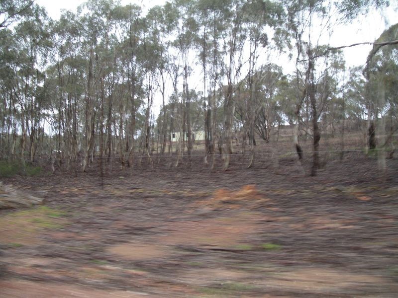 1 Monument Drive, Wedderburn VIC 3518