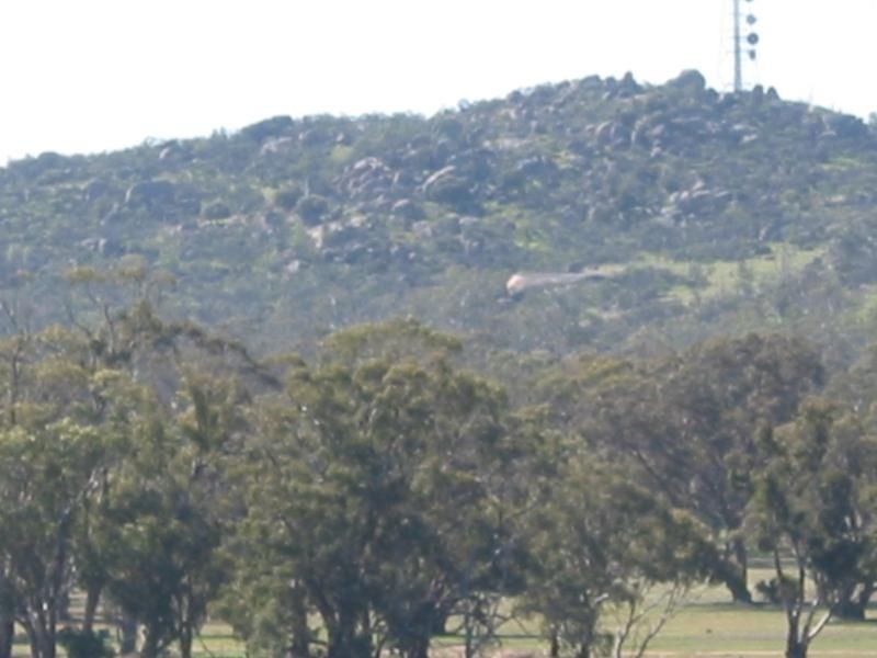 539 Old Boort Road Wychitella Road District, Korong Vale VIC 3520