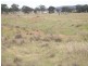 1/ Korong Vale Wychitella Road, Berrimal VIC 3518