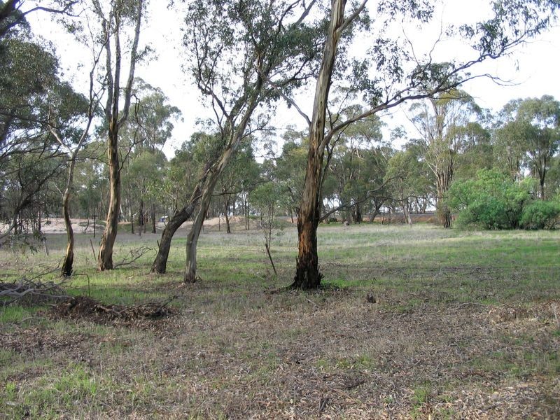 211 Eddington Tarnagulla Road, Laanecoorie VIC 3463