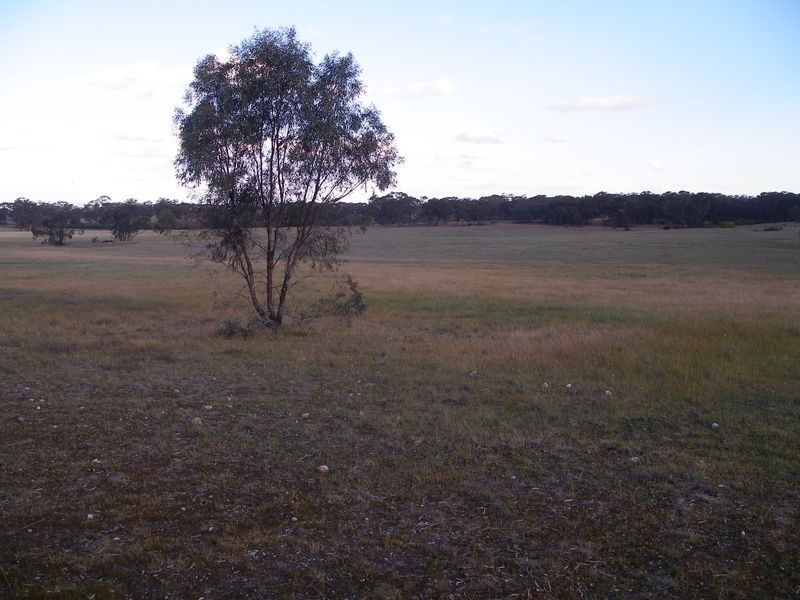 3518 Maxwells Road, Korong Vale VIC 3520
