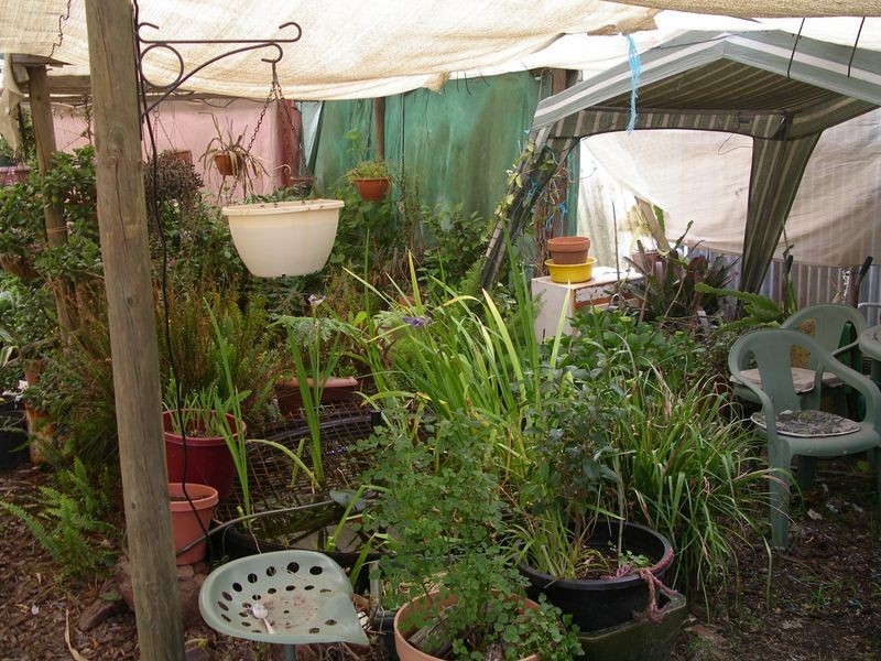 9 Kerr Street, Wedderburn VIC 3518