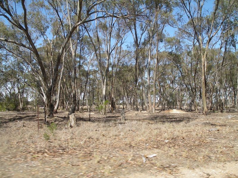 9B-9D Borung Woolshed Flat Road, Borung VIC 3518