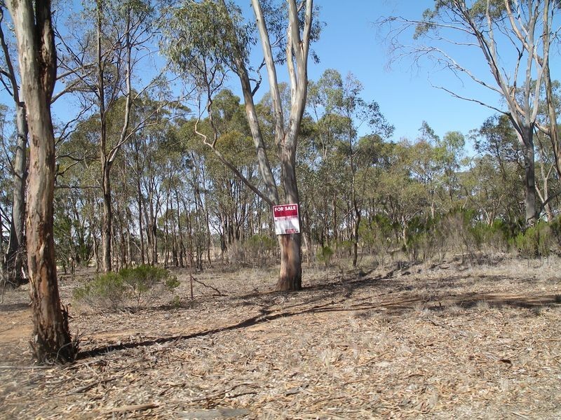 9B-9D Borung Woolshed Flat Road, Borung VIC 3518