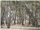 9B-9D Borung Woolshed Flat Road, Borung VIC 3518
