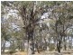 9B-9D Borung Woolshed Flat Road, Borung VIC 3518