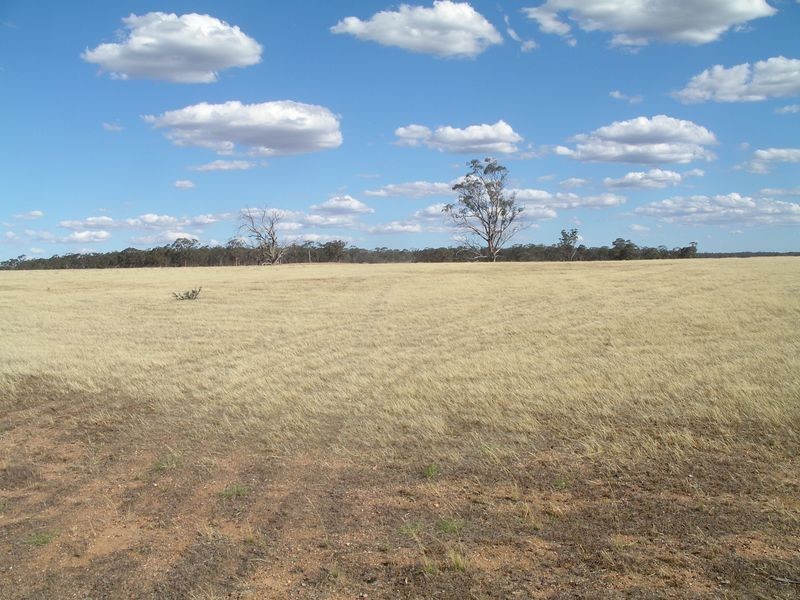 3/- Wedderburn – Burkes Flat Road, Fentons Creek VIC 3518