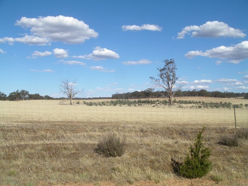 3/- Wedderburn – Burkes Flat Road, Fentons Creek VIC 3518