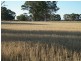 Lot 2 2000 Keoghs Lane, Rheola VIC 3517