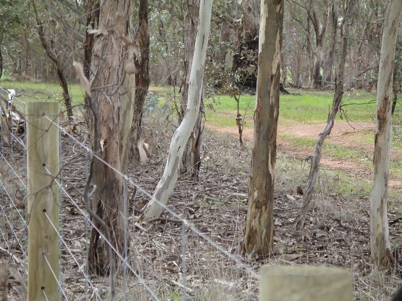 Corner Three Chain & Recreation Road, Sebastian VIC 3556