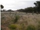Lot 1 Murphys Lane, Toolleen VIC 3551