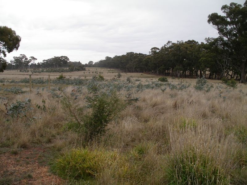 Lot 1 Murphys Lane, Toolleen VIC 3551