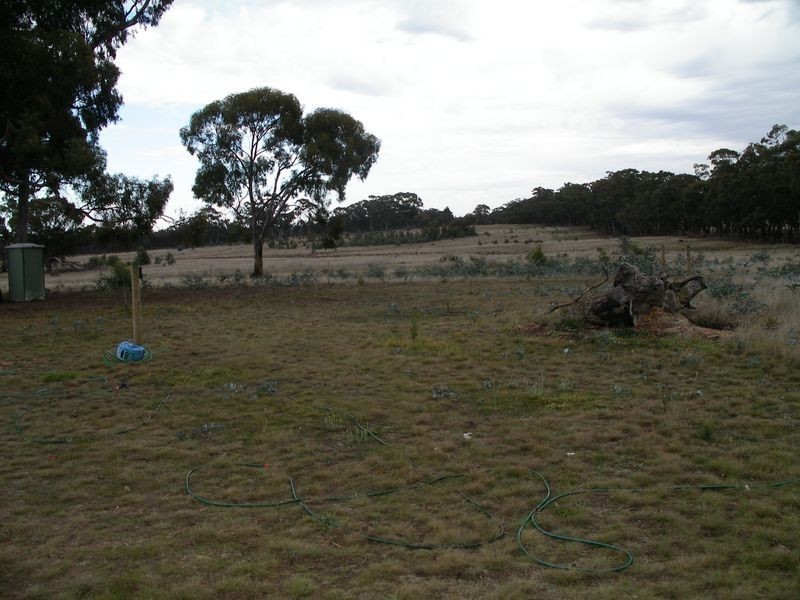 Lot 1 Murphys Lane, Toolleen VIC 3551