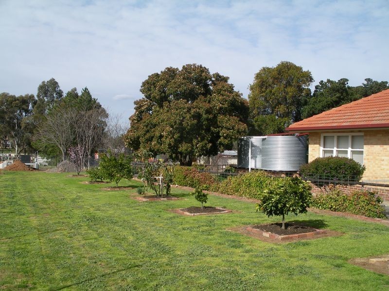 31 Ridge Street, Wedderburn VIC 3518