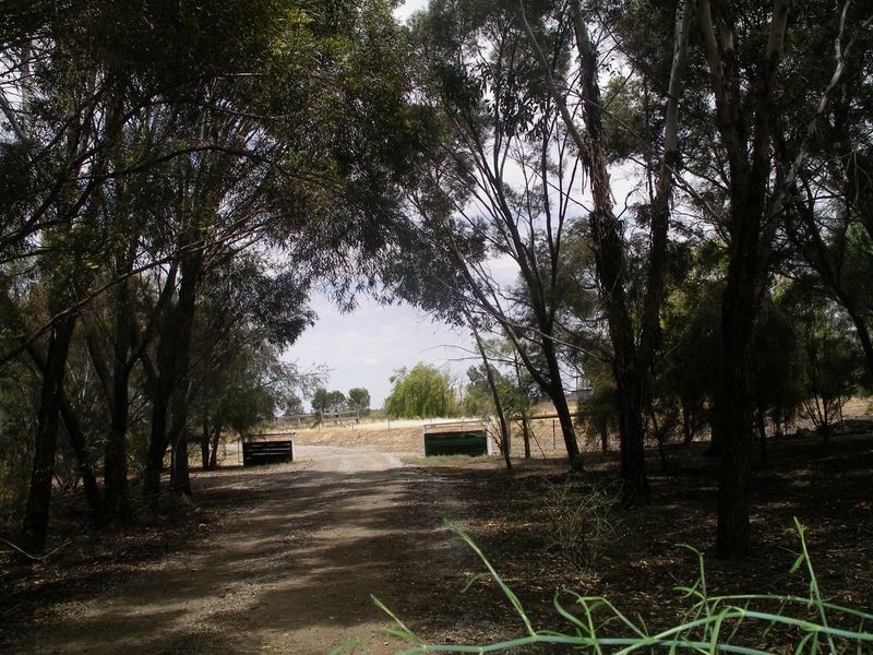 2208 Boort Pyramid Road, Durham Ox VIC 3576