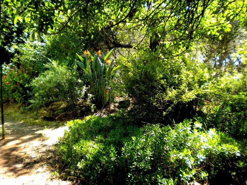 2208 Boort Pyramid Road, Durham Ox VIC 3576