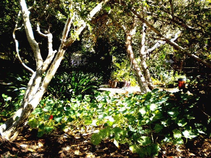 2208 Boort Pyramid Road, Durham Ox VIC 3576