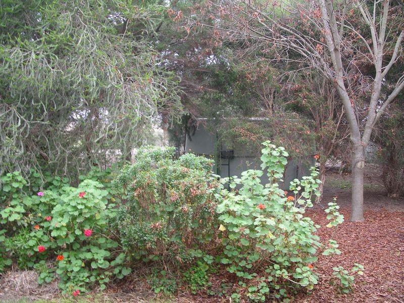 2208 Boort Pyramid Road, Durham Ox VIC 3576