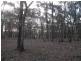 Lot 57 Epsom / Wellsford Road, Epsom VIC 3551