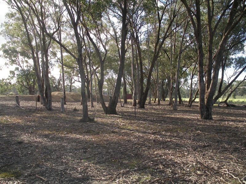 Lot 57 Epsom / Wellsford Road, Epsom VIC 3551