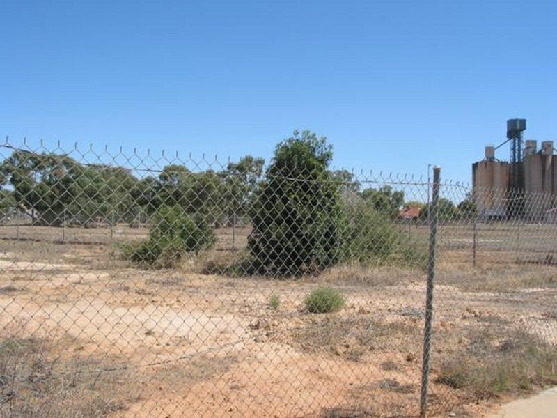 24 Davies Street, Charlton VIC 3525