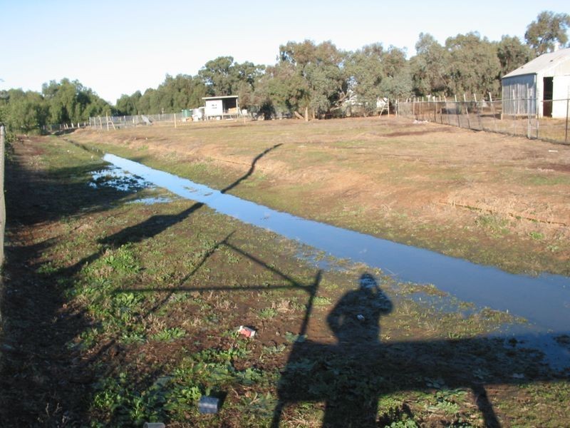 24 Davies Street, Charlton VIC 3525