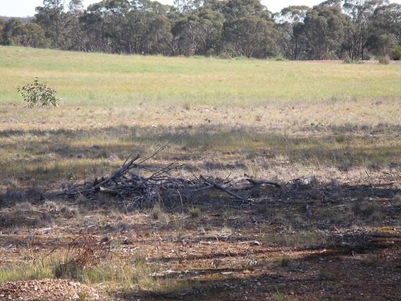 400 Boort-Wedderburn Road, Wedderburn VIC 3518