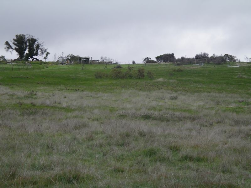 20 Josephine Drive, Wedderburn VIC 3518