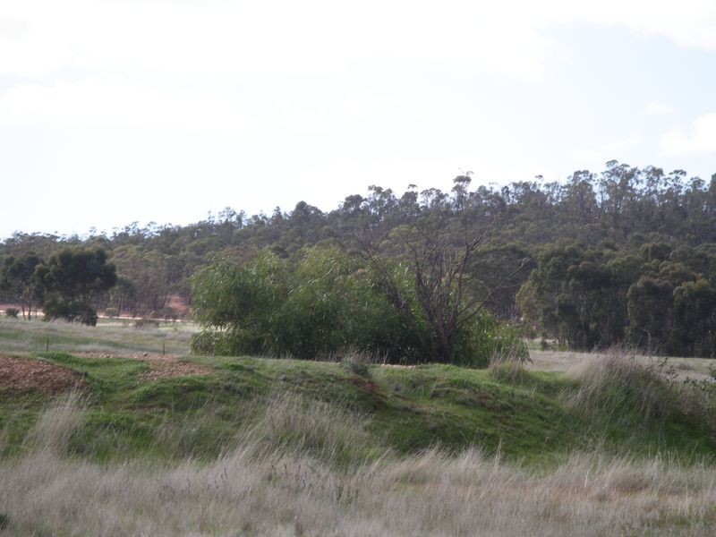 20 Josephine Drive, Wedderburn VIC 3518