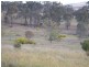 20 Josephine Drive, Wedderburn VIC 3518