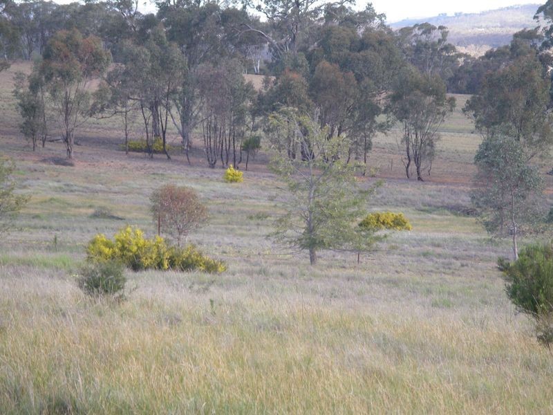 20 Josephine Drive, Wedderburn VIC 3518