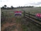 20 Josephine Drive, Wedderburn VIC 3518