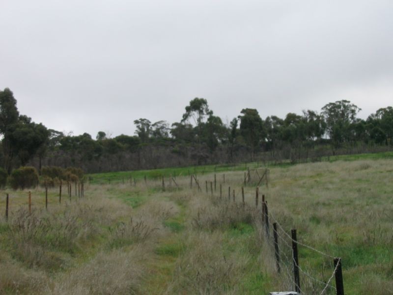 20 Josephine Drive, Wedderburn VIC 3518
