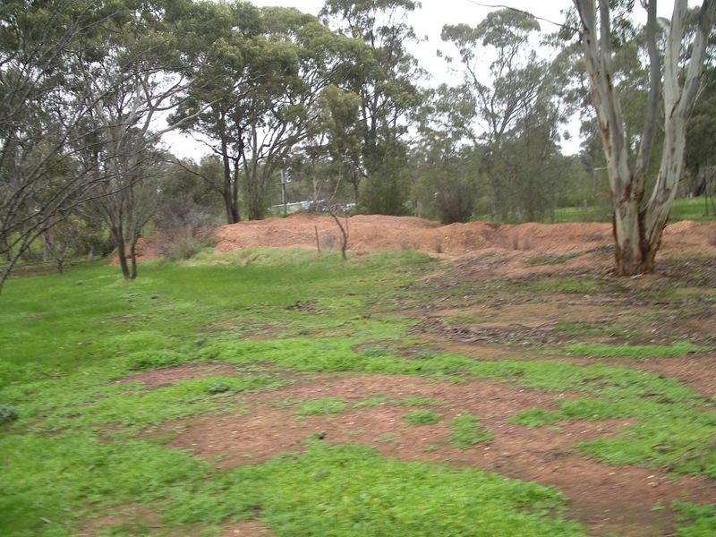 124 Nine Mile Road, Wedderburn VIC 3518