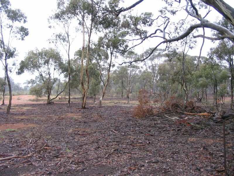 CA 36A Dip Lane, Wedderburn VIC 3518