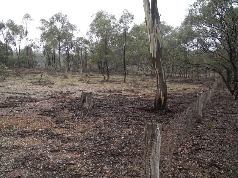 CA 36A Dip Lane, Wedderburn VIC 3518