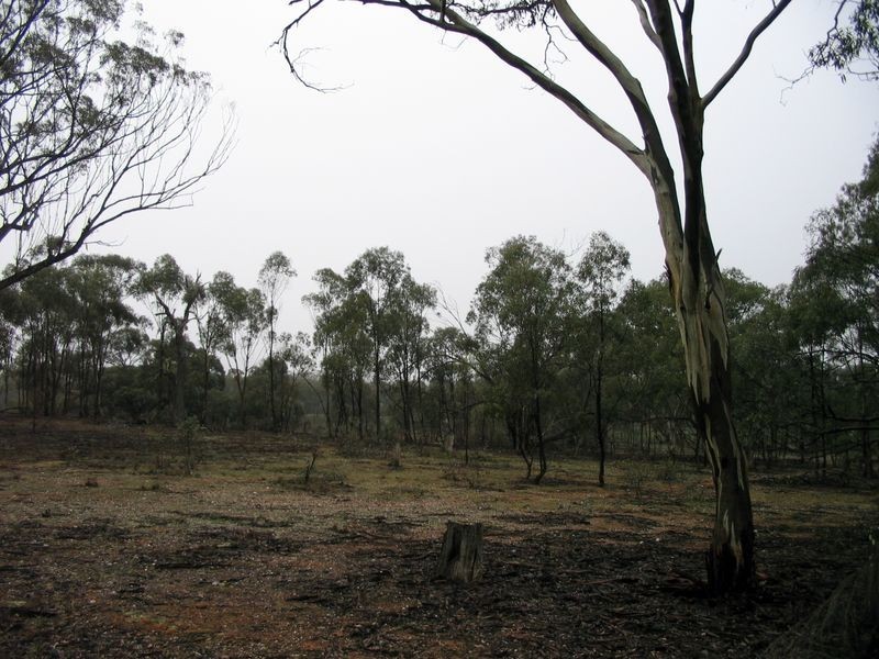 CA 36A Dip Lane, Wedderburn VIC 3518