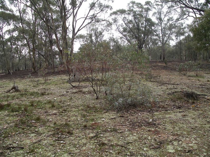 CA 36A Dip Lane, Wedderburn VIC 3518