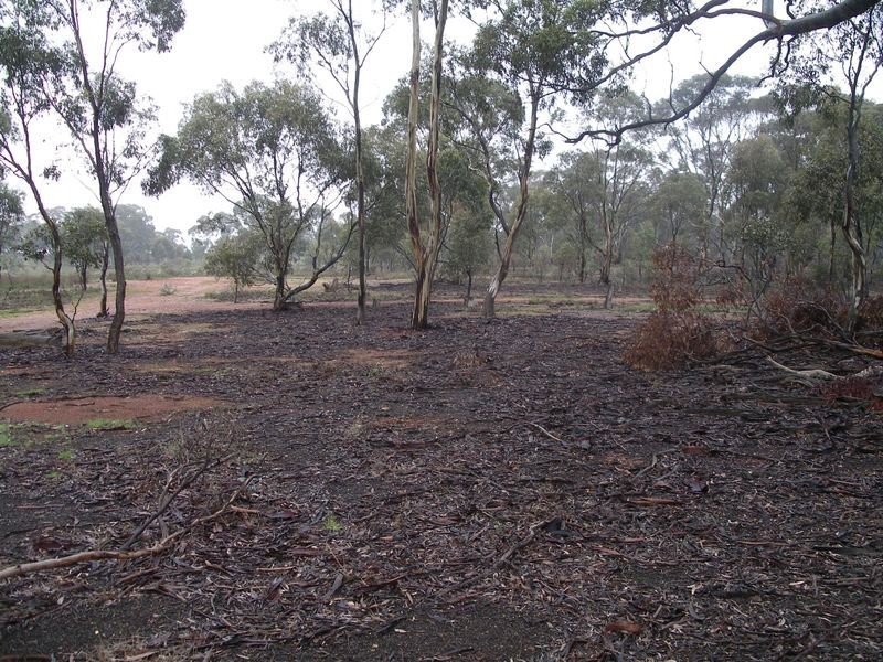 CA 36A Dip Lane, Wedderburn VIC 3518