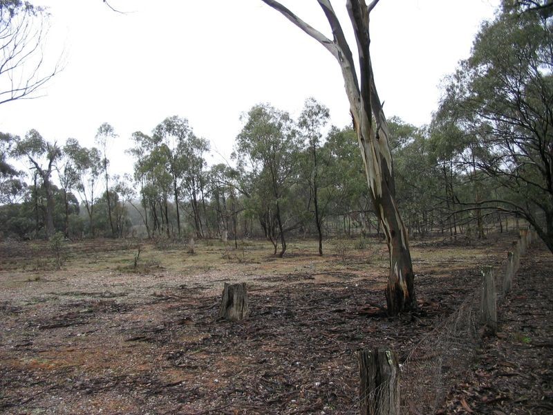 CA 36A Dip Lane, Wedderburn VIC 3518