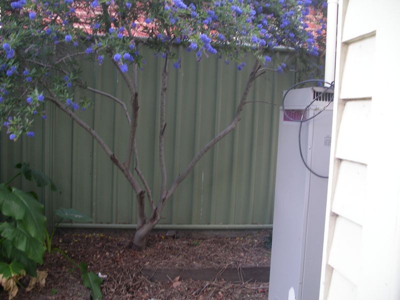 15 Creek Street South, Bendigo VIC 3550