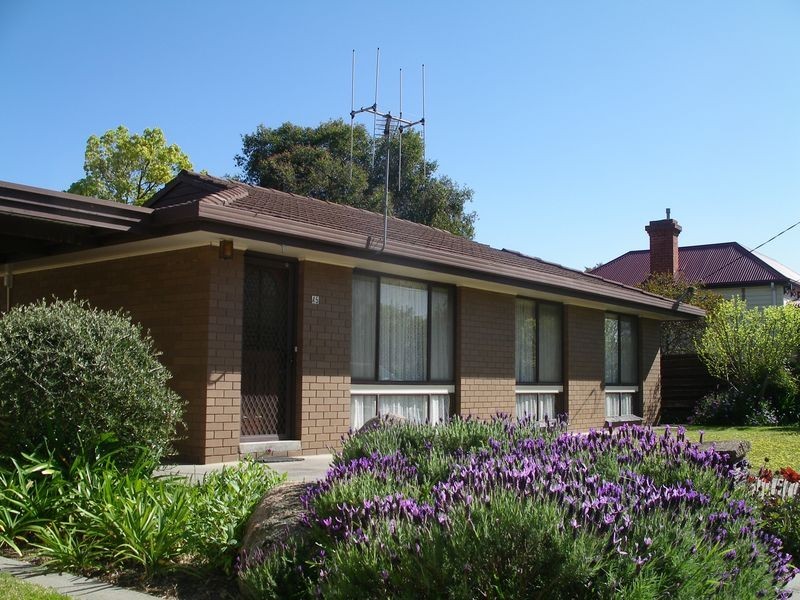 45 Raglan Street, White Hills VIC 3550