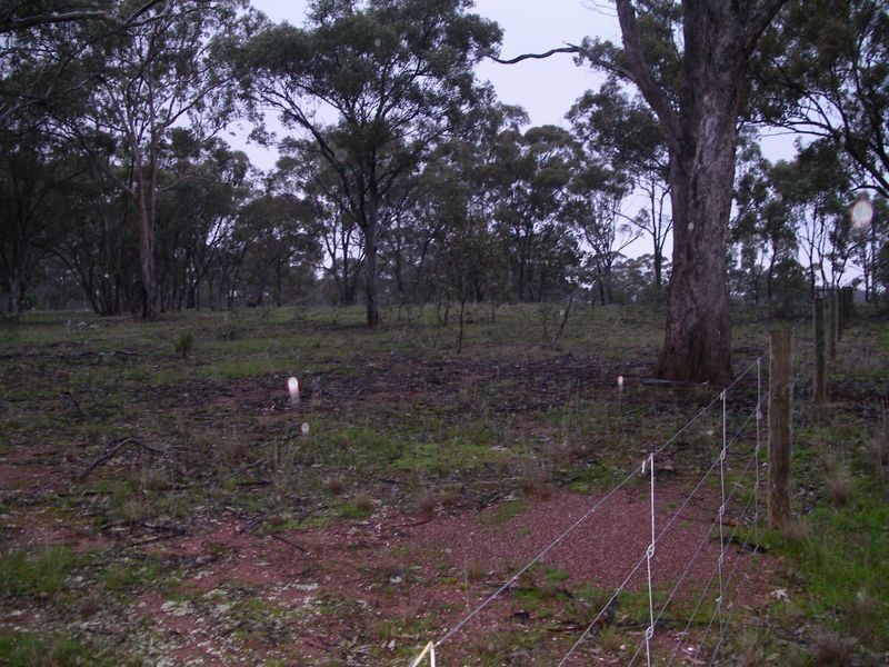 Corner of Recreation & Three Chain, Sebastian VIC 3556