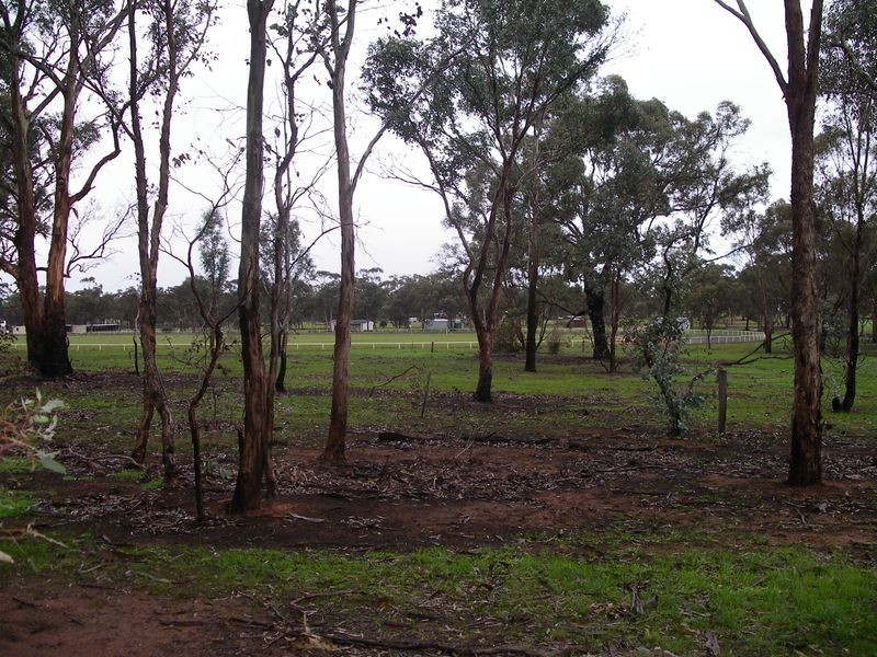 Corner of Recreation & Three Chain, Sebastian VIC 3556