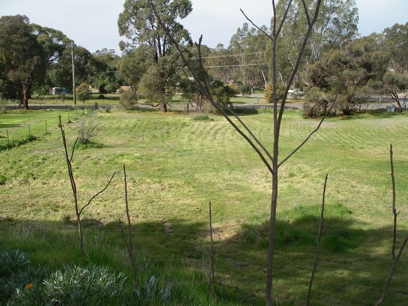 6 Ridge Street, Wedderburn VIC 3518