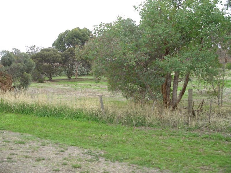 6 Ridge Street, Wedderburn VIC 3518