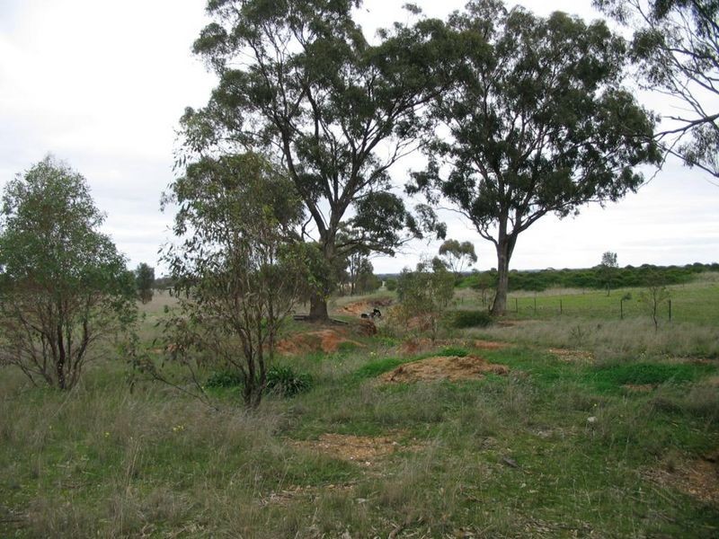 CA 48 Sec Woolpack Road, St Arnaud VIC 3478