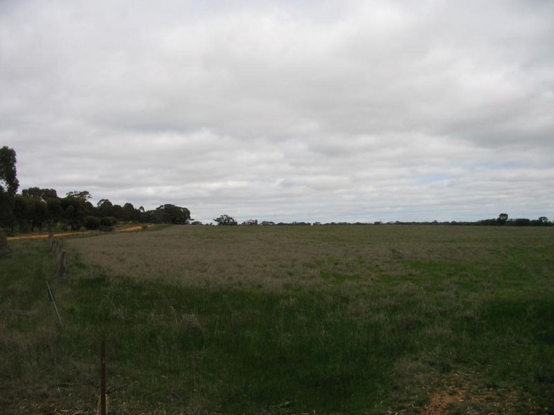 CA 48 Sec Woolpack Road, St Arnaud VIC 3478