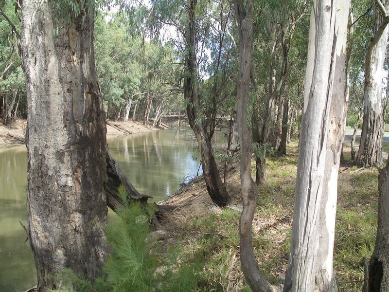 Lot 10 31 Main Street, Koondrook VIC 3580