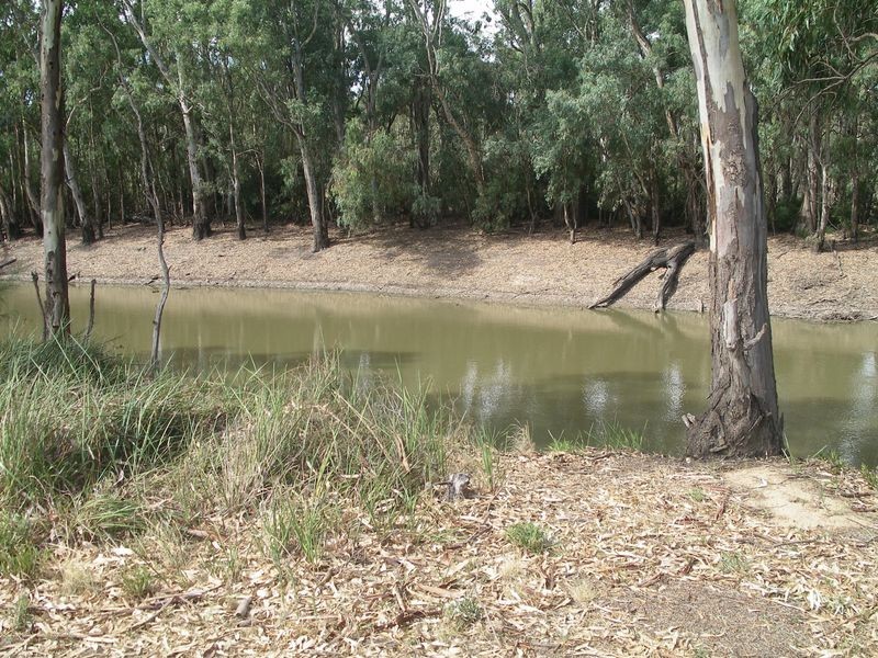 Lot 10 31 Main Street, Koondrook VIC 3580